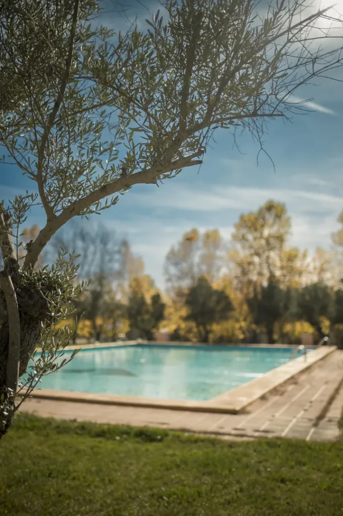 Piscina rodeada de árboles y cielo despejado.