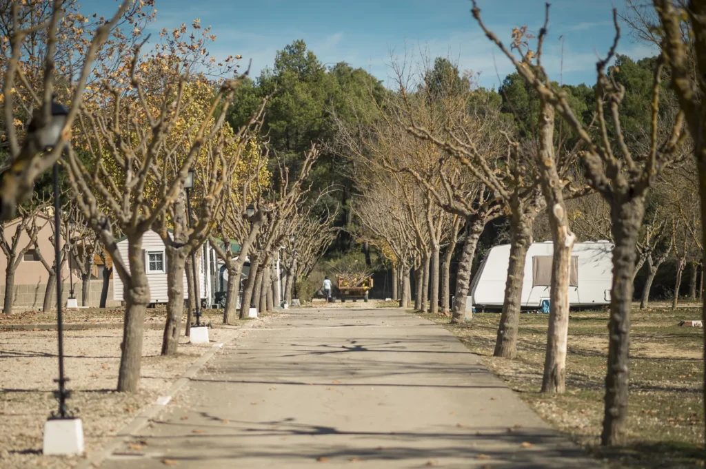 Camino arbolado en un parque con casas móviles y naturaleza tranquila.